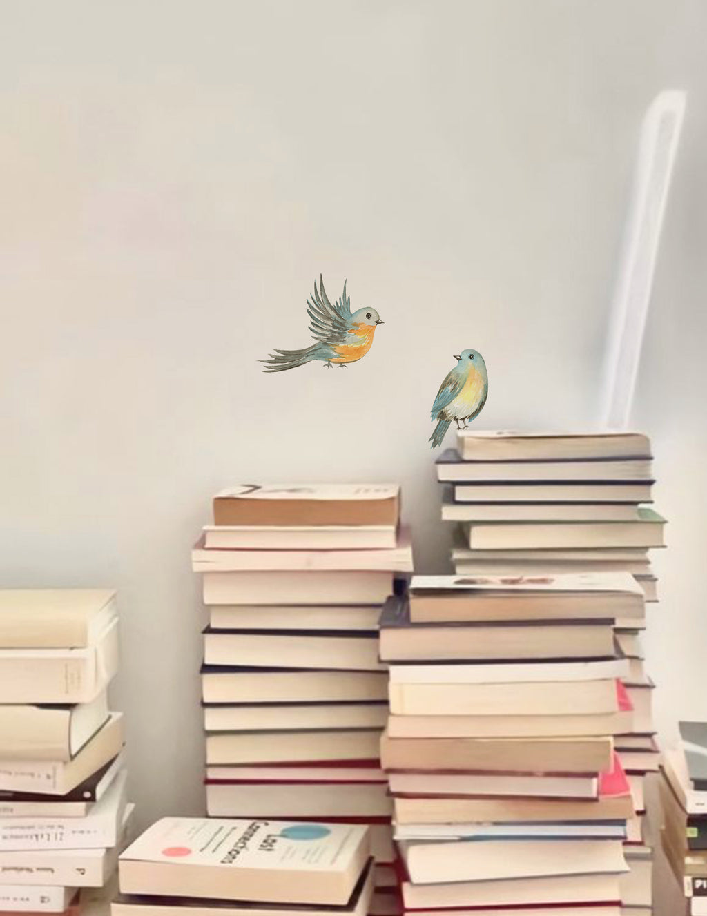 Bird wall decal, wall decor, interior design, wall decal nepal